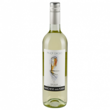 images/productimages/small/Pinot-grigio-marchese-della-torre.png